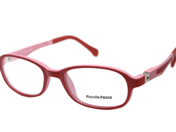 1002 LDS C04 Piccolo Pesce