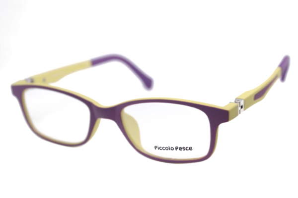 1021 LDS C51 Piccolo Pesce