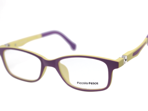 1021 LDS C51 Piccolo Pesce