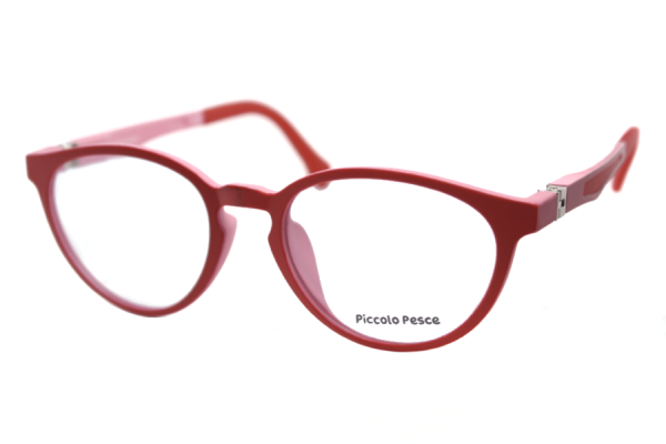 1023 LDS C04 Piccolo Pesce