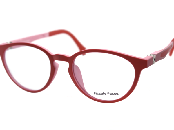 1023 LDS C04 Piccolo Pesce