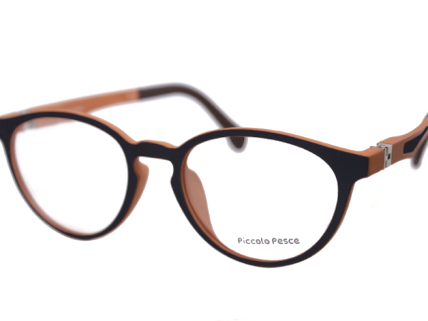 1023 LDS C30 Piccolo Pesce