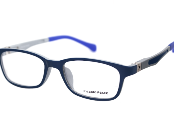 1059 LDS C33 Piccolo Pesce