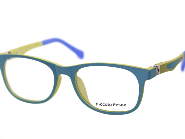 1063 LDS C31 Piccolo Pesce