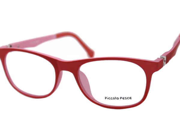 1066 LDS C04 Piccolo Pesce