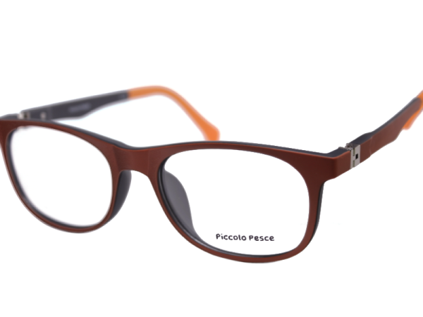 1066 LDS C17 Piccolo Pesce