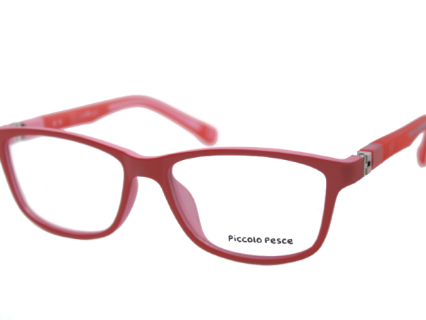 1100 LDS C04 Piccolo Pesce