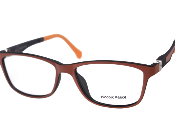 1100 LDS C17 Piccolo Pesce