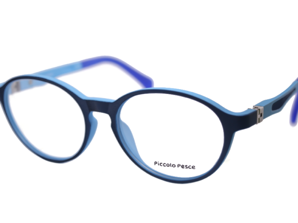 1102 LDS C10 Piccolo Pesce