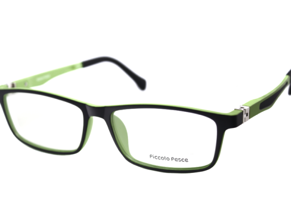 1105 LDS C18 Piccolo Pesce