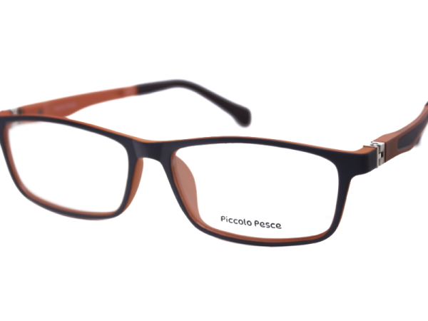 1105 LDS C30 Piccolo Pesce