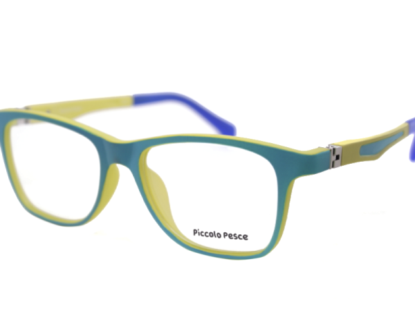 1106 LDS C31 Piccolo Pesce