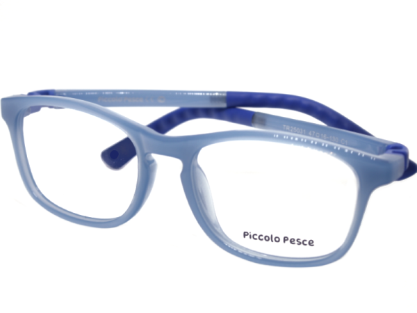 25031 TR C1 Piccolo Pesce