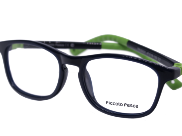 25031 TR C2 Piccolo Pesce