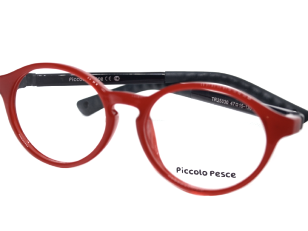 25030 TR C6 Piccolo Pesce