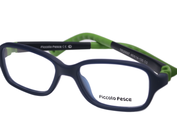 25037 TR C2 Piccolo Pesce