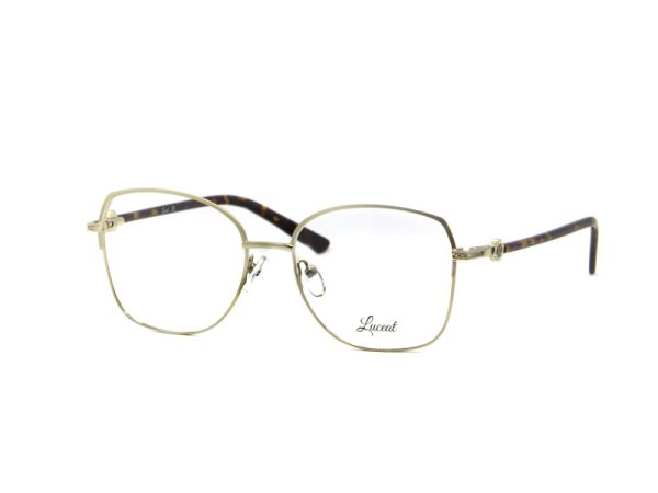 25036 TR C4 Piccolo Pesce