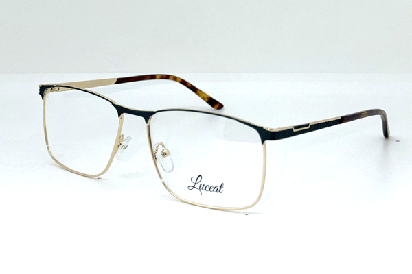 81400 A C3 Luceat