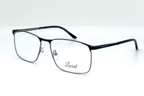 81400 A C4 Luceat