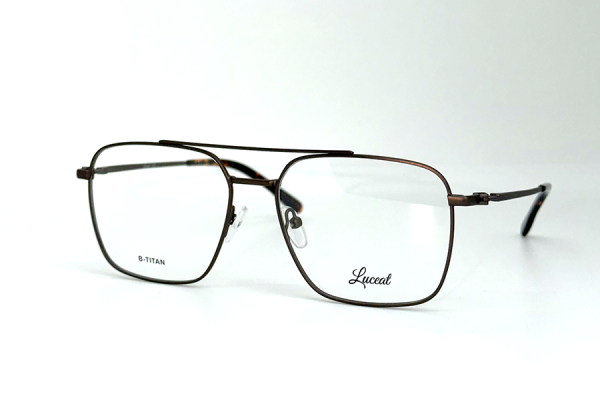 81390 A C3 Luceat