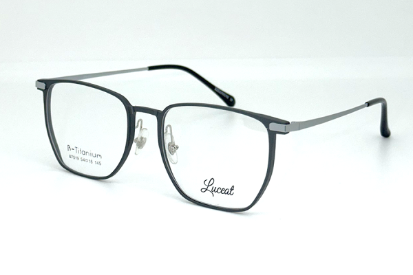 87019 C6 Luceat