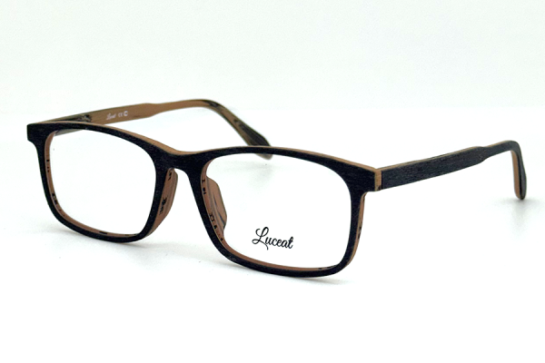 1691 C806 Luceat