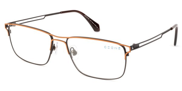 J1219 25 C-ZONE