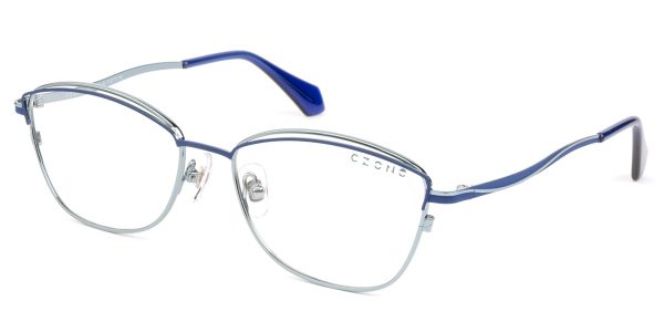 J2291 60 C-ZONE
