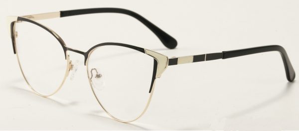1754 C1 BASIC